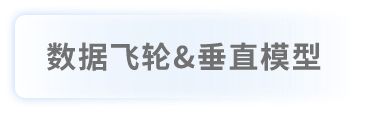 数据飞轮&垂直模型